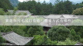 黄花鱼可不可以养殖？养殖方式有哪些？