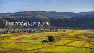 田螺在家可以养多少天