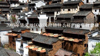 2008年华北地区农民种植什么样的农作物会赚钱