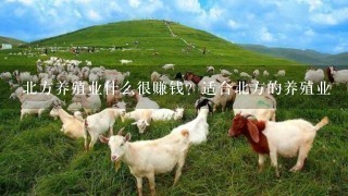 北方养殖业什么很赚钱？适合北方的养殖业