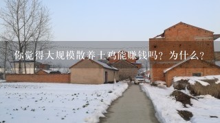 你觉得大规模散养土鸡能赚钱吗？为什么？