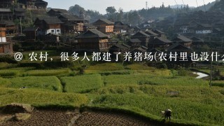 @ 农村，很多人都建了养猪场(农村里也没什么发财路子)，这么多养猪场，那么多的猪肉能吃完吗? 谢谢