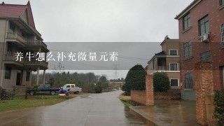 养牛怎么补充微量元素