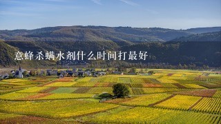 意蜂杀螨水剂什么时间打最好