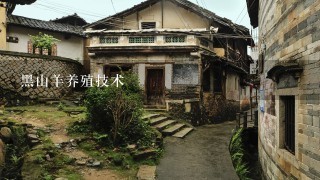 黑山羊养殖技术