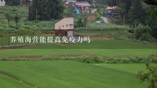 养殖海营能提高免疫力吗