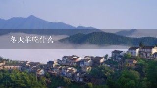 冬天羊吃什么