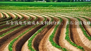 石金钱龟养殖成本及利润分析，养石金钱龟赚钱吗