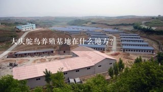 大庆鸵鸟养殖基地在什么地方？