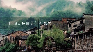 14-18天晾蛋是什么意思？