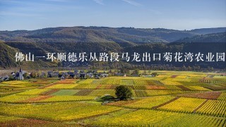 佛山一环顺德乐从路段马龙出口菊花湾农业园属于哪个行政区域