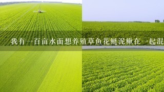 我有一百亩水面想养殖草鱼花鲢泥鳅在一起混养成本是多少