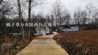 蝎子草分布陕西什么地方？