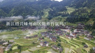 浙江绍兴嵊州山区能养竹鼠吗？