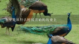 冬至是从什么时侯开始的历史上