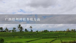 广西梧州种植养殖方面