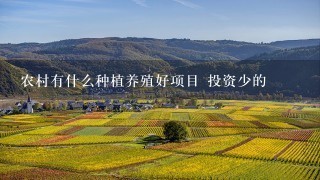 农村有什么种植养殖好项目 投资少的