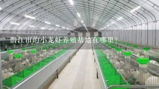 潜江市的小龙虾养殖基地在哪里？