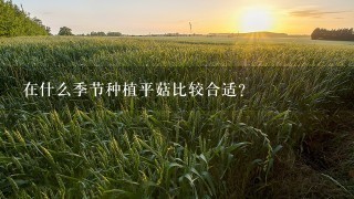 在什么季节种植平菇比较合适？