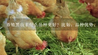 养殖黑山羊什么品种更好？比如：品种优势，山羊肉质