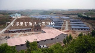 广东那里有鱼具批发市场