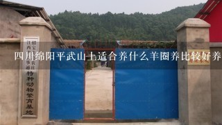 四川绵阳平武山上适合养什么羊圈养比较好养，小型的羊棚搭设建造成本是多少？该怎么建造！需要多少资金？