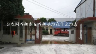 金农网养鹅南充养鹅基地在什么地方