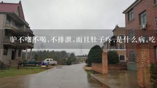 驴不吃不喝,不排泄,而且肚子疼,是什么病,吃什么药