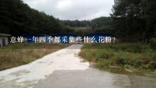 意蜂一年四季都采集些什么花粉？