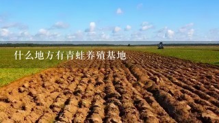 什么地方有青蛙养殖基地