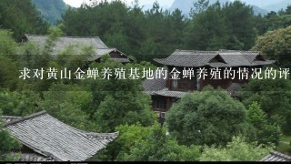 求对黄山金蝉养殖基地的金蝉养殖的情况的评价，因为做这个生意的很多骗子，有真实知道的吗?请实告知!