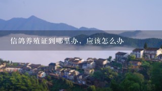 信鸽养殖证到哪里办，应该怎么办