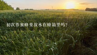 初次养蜜蜂要放水在蜂箱里吗？