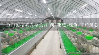 五亩池塘放养草鱼,白鲢,花鲢,鲤鱼,年产量总共多少公厅?望养鱼的朋友告诉一下.谢谢了水深1,5到2米