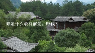 养殖什么最有前景，赚钱？