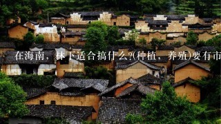 在海南，林下适合搞什么?(种植，养殖)要有市场前景的。准备面向内地市场的