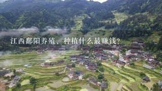 江西鄱阳养殖、种植什么最赚钱？