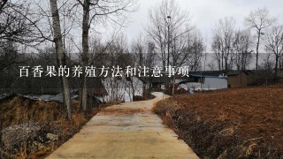 百香果的养殖方法和注意事项