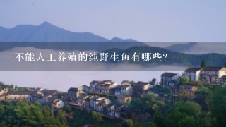 不能人工养殖的纯野生鱼有哪些？