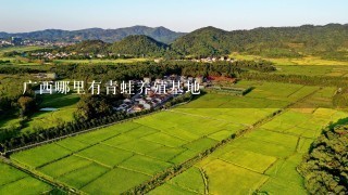 广西哪里有青蛙养殖基地