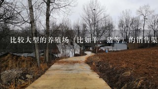 比较大型的养殖场（比如羊、猪等）的销售渠道有哪些？