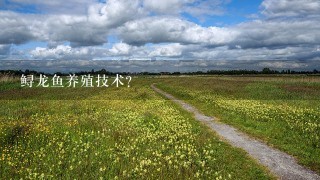 鲟龙鱼养殖技术？