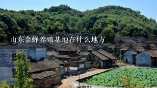 山东金蝉养殖基地在什么地方