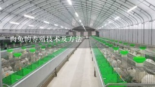 肉兔的养殖技术及方法