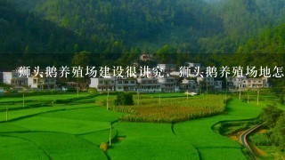 狮头鹅养殖场建设很讲究，狮头鹅养殖场地怎样建设？