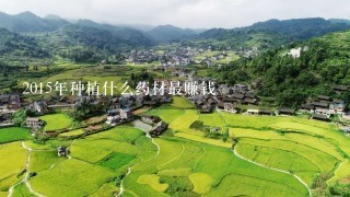 2015年种植什么药材最赚钱