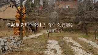 养泥鳅要用什么土？有什么要求？