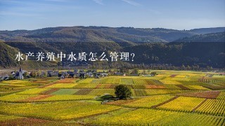 水产养殖中水质怎么管理?