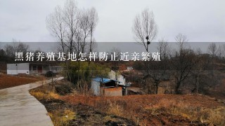 黑猪养殖基地怎样防止近亲繁殖