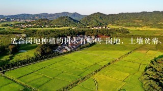 适合岗地种植的树木有哪些 岗地，土壤贫瘠，种树的